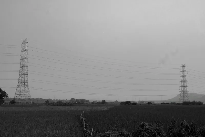 The Backwards Reader Who Electrified America