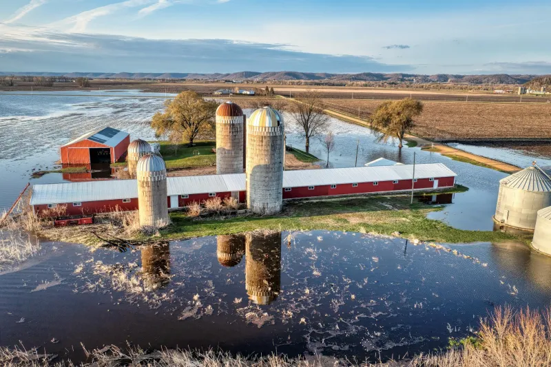 The Flood That Took Everything and the Farmer Who Built an Agricultural Empire From the Mud