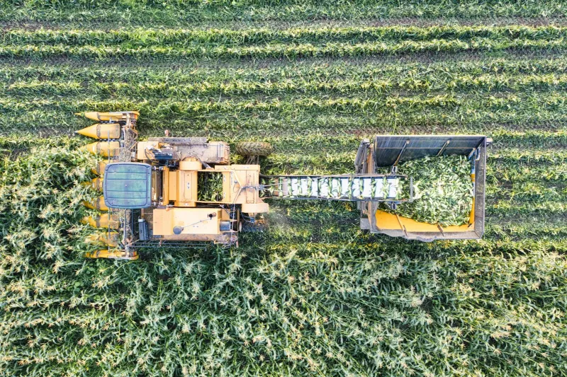 The Inventor They Couldn't Own: How a Bondsman Outsmarted the Patent Office and Rewrote the Rules of Genius