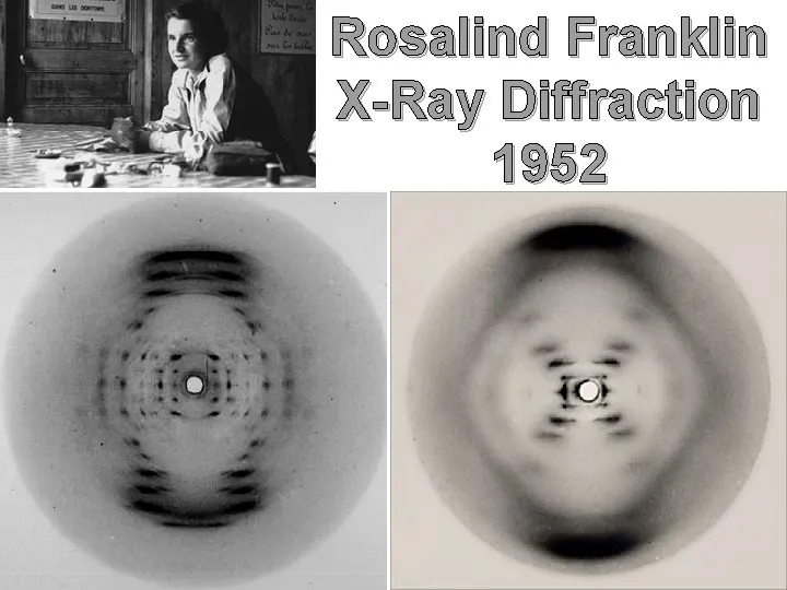 Rosalind Franklin